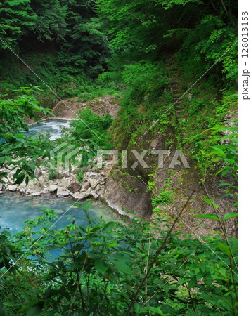 新緑あふれる群馬県 激流の吾妻峡 新緑あふれる群馬県 激流の吾妻峡 128013153