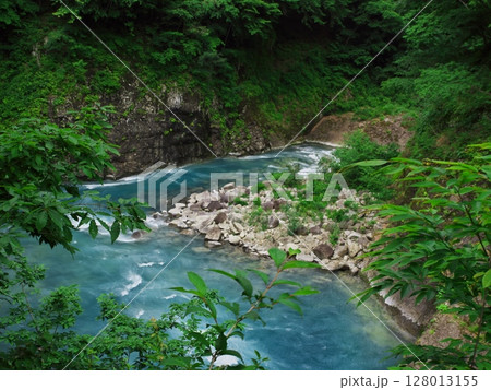 新緑あふれる群馬県 激流の吾妻峡 新緑あふれる群馬県 激流の吾妻峡 128013155