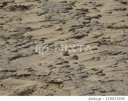 【鳥取】鳥取砂丘 砂の表面にできたたくさんの砂柱(鳥取市) 【鳥取】鳥取砂丘 砂の表面にできたたくさんの砂柱(鳥取市) 128013200