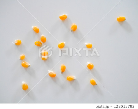 ポップコーン とうもろこし ポップコーン とうもろこし 128013792