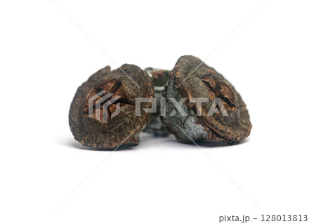 Closeup of eucalyptus fruits gumnuts on white background 128013813
