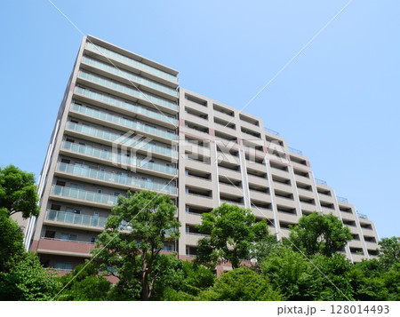 マンションのある都市風景｜南砂町 128014493