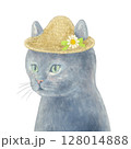 麦わら帽子を被った猫 128014888