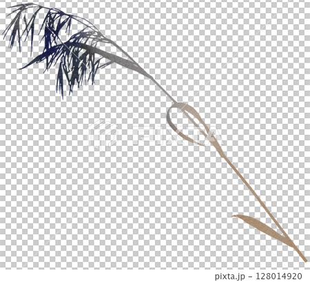 Watercolor dried stem with leaf and seeds in brown tones, boho autumn wedding isolated illustration Watercolor dried stem with leaf and seeds in brown tones, boho autumn wedding isolated illustration 128014920