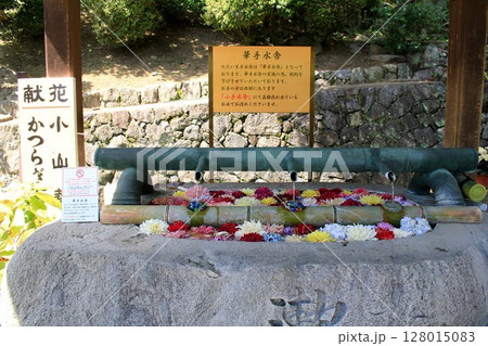 岡寺・華手水舎 128015083