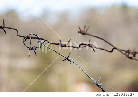 A detailed view of intertwined barbed wires with a blurred natural background A detailed view of intertwined barbed wires with a blurred natural background 128015527