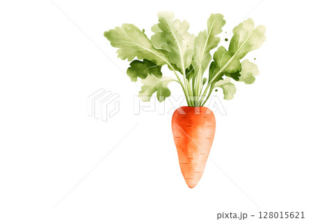Close up of a freshly harvested carrot with vibrant green leaves against a clean white background showcasing the natural beauty and nutrition of this common root vegetable 128015621