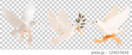 Three beautiful white doves in flight carrying olive branches as symbols of peace and freedom in a natural setting 128015638