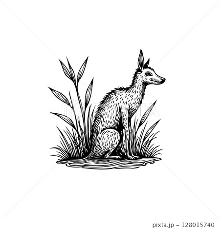 Elegant ink drawing of a jackal amidst grass, showcasing nature's simplicity and beauty Elegant ink drawing of a jackal amidst grass, showcasing nature's simplicity and beauty 128015740