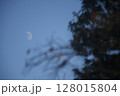 半月と木と青空 128015804