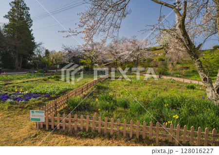 静岡市にある朝の晴れた日の日本平の風景(静岡県) 128016227