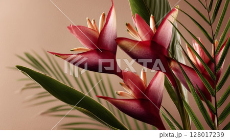 Closeup of Red Tropical Flowers with Green Leaves on Neutral Background 128017239