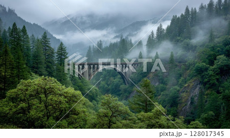 Stone Arch Bridge in Foggy Mountain Forest 128017345