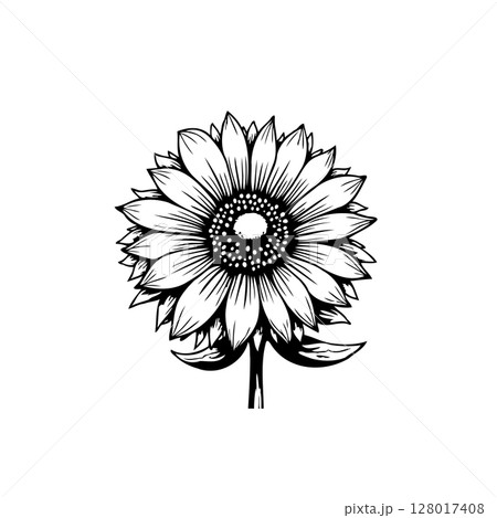 Elegant Sunflower Illustration: A Black and White Botanical Artwork for Creative Projects 128017408