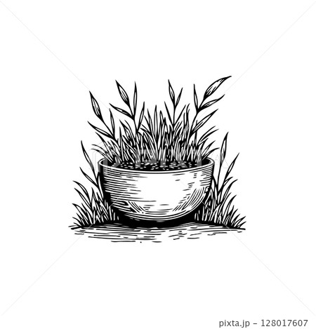 Minimalist botanical illustration of plant in a bowl, botanical drawing art 128017607