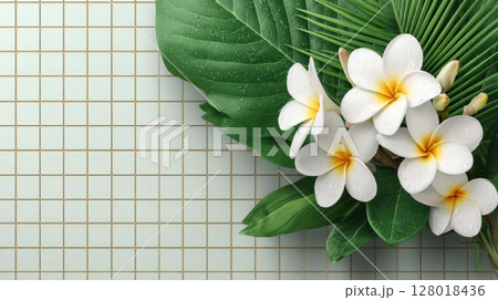 White Plumeria Flowers and Green Leaves on a Mint Green Grid Tile Background 128018436