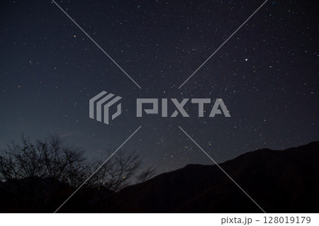秩父の山と木々のシルエットと冬の星空 128019179