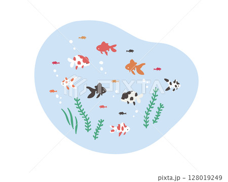 金魚と水草　赤　黒　ぶち模様 128019249