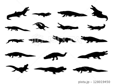 Alligator silhouettes, Crocodile silhouette, Alligator svg, Crocodile and alligator silhouette, Alligator clip art 128019450