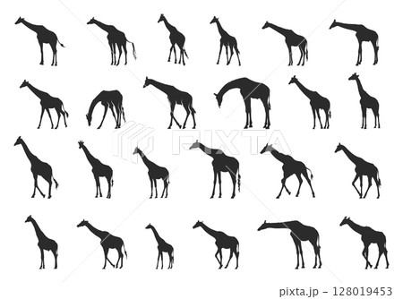 Giraffe silhouette, Giraffe Svg, Giraffe silhouettes, Giraffe vector illustration, Giraffe clipart 128019453