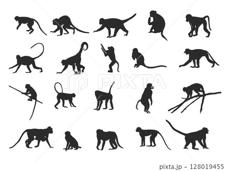 Monkey silhouettes, Monkey silhouette collection, Sitting monkey silhouette, Monkey svg, Monkey clipart, Monkey vector illustration 128019455