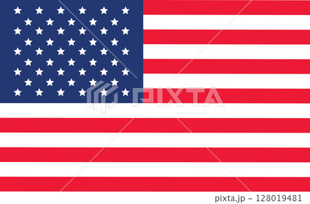 United States of America flag.USA flag. Vector illustration 128019481