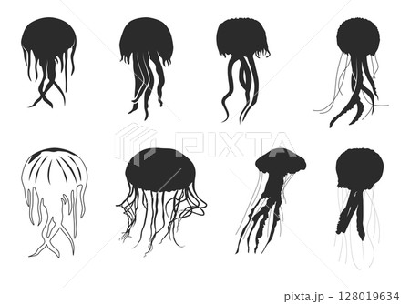 Jellyfish silhouette, Jellyfish vector, Jellyfish SVG, Jellyfish icon set, Jellyfish clipart 128019634