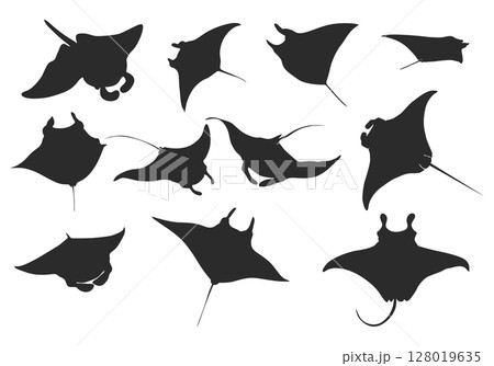 Manta ray silhouette, Manta ray vector, Manta ray SVG, Manta ray clipart, Stingray icon bundle. Manta ray silhouette, Manta ray vector, Manta ray SVG, Manta ray clipart, Stingray icon bundle. 128019635