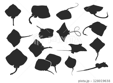Skate fish silhouette, Ray fish silhouette, Ray fish vector, Ray fish clipart, Skate fish svg, Fish silhouette 128019638