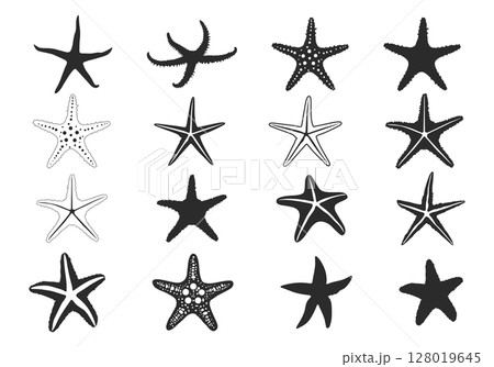 Starfish silhouette, Starfish icon, Starfish SVG,  Starfish outline, Tropical starfish SVG, Starfish bundle set. 128019645