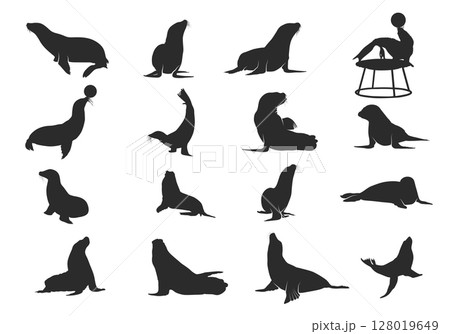Seal silhouette collection, Seal SVG, Sea lion silhouettes, Seal clipart 128019649