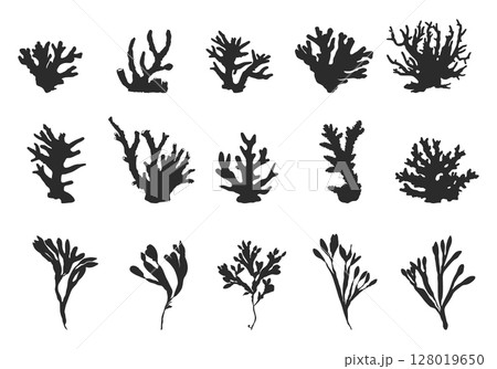 Coral silhouette, Sea corals silhouette, Seaweed silhouette, Coral SVG, Coral clipart, coral vector illustration. 128019650