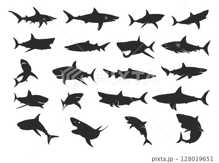 Shark silhouette, Shark silhouettes, Shark SVG, Shark icon set, Shark clipart, Shark vector illustration 128019651