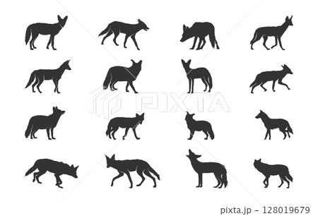 Jackal silhouette, Wild jackal silhouette, Jackal svg, Jackal silhouettes, Jackal vector illustration Jackal silhouette, Wild jackal silhouette, Jackal svg, Jackal silhouettes, Jackal vector illustration 128019679