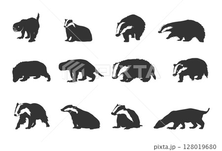Badger silhouettes, Badger clipart silhouette, Badger vector set, Badger svg. 128019680