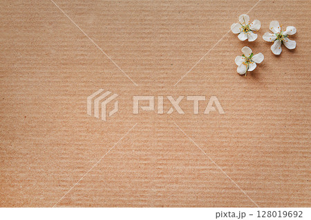 White Blossoms on Cardboard Background for Nature and Design Concepts 128019692