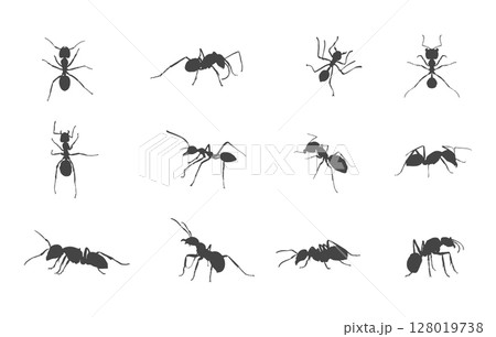 Ants svg, Ants silhouette, Ant clipart, Ant silhouette set, Ants vector set, Ant crawling silhouette, Ant drawing. 128019738