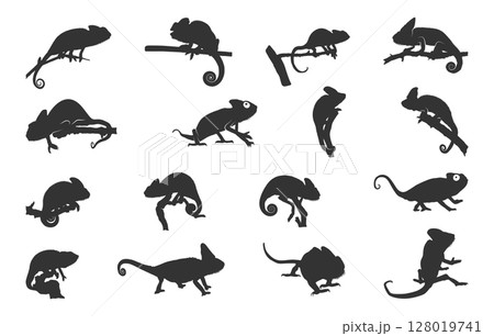 Chameleon silhouettes, Chameleon vector illustration, Chameleon svg, Chameleon animal icon, Chameleon silhouette 128019741