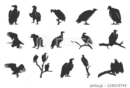 Vulture silhouette, Sitting vulture silhouette, Vulture svg, Clipart vulture silhouette, Vulture Vulture vector illustration. 128019743