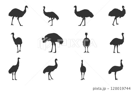 Emu silhouettes, Emu bird silhouette, Emu bird svg, Emu svg, Simple emu silhouette, Emu vector illustration 128019744