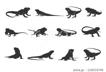 Iguana silhouette, Iguana svg, Iguana silhouettes, Iguana vector illustration 128019746