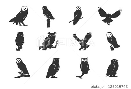 Owl silhouettes, Barn owl silhouette, Owl silhouettes vector illustration, Owl svg,  Barn owl svg, Owl clipart. 128019748