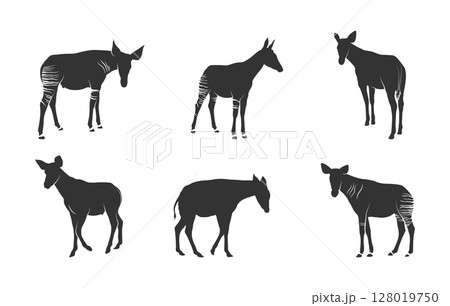 Okapi animal silhouettes, Okapi svg, Okapi silhouettes, Okapi animal svg, Okapi clipart, Okapi animal vector illustration. 128019750