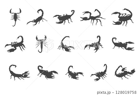 Scorpion silhouette, Scorpion svg, Scorpion vector, Scorpion logo, Scorpion clipart. 128019758