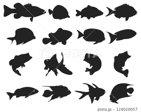 Fish silhouettes Collection, Fish silhouettes. Fish silhouettes Collection, Fish silhouettes. 128020057