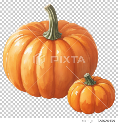 Autumn orange pumpkin watercolor illustration isolated on white background. Seasonal harvest theme with natural textures and warm colors 128020439
