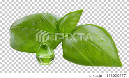 A bright green drop of basil oil sits elegantly next to fresh basil leaves, glistening with moisture from the recent rain, highlighting the beauty of nature in a vibrant kitchen. 128020477