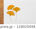 Dry Ginkgo Leaves Arranged on a Minimalist White Background 128020498