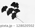 Minimalist Arrangement of Black Ginkgo Leaves Against a White Background 128020502