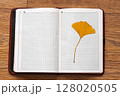 Open Notebook with Pressed Yellow Leaf on Wooden Surface 128020505